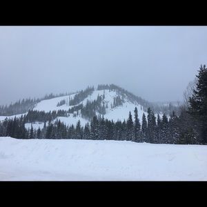 Meet your Posher, Bren